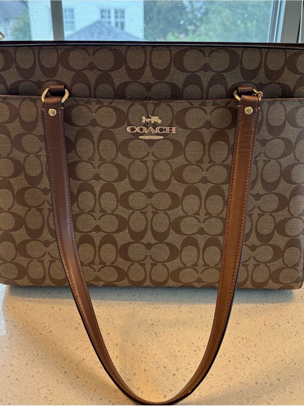 COACH Signature Canvas Tote in Brown NWT & Box